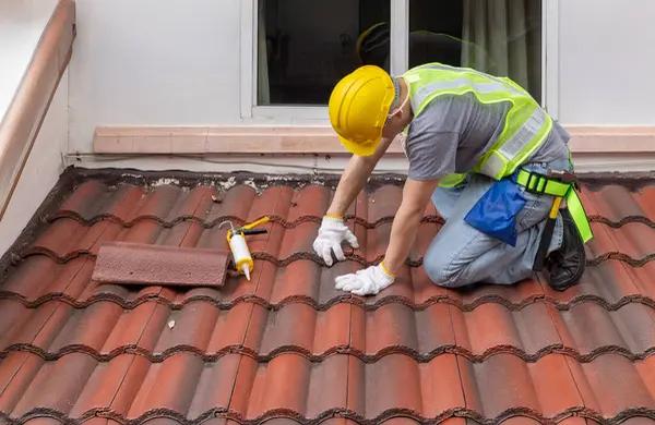 Roofing Contractor Louisville: Essential Services for Your Home