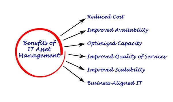 Optimizing IT Asset Management for Business Efficiency