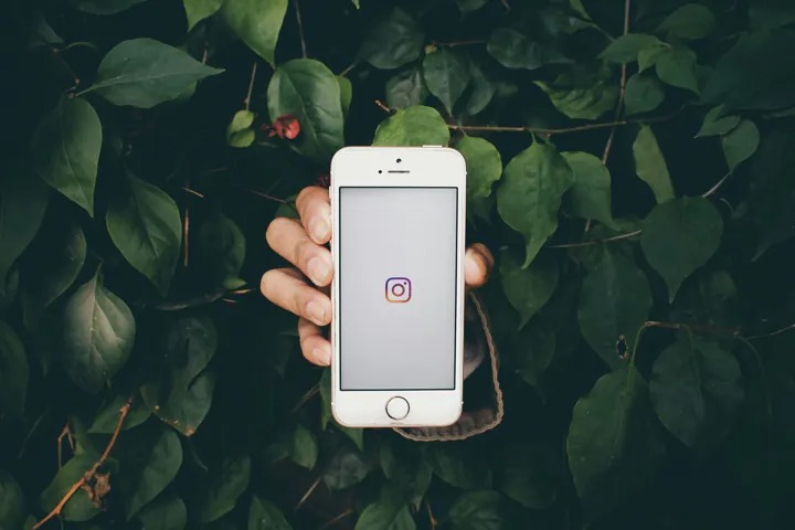 Digital Exploitation Through Instagram Private Viewer Searches